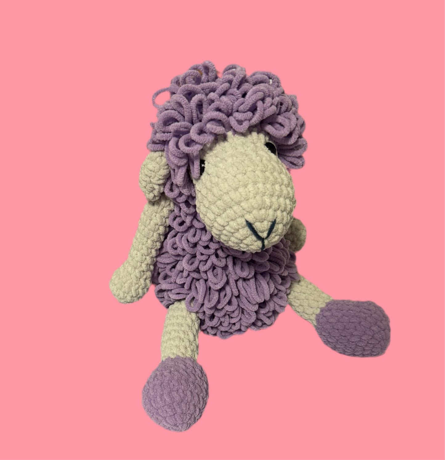 Curly Sheepie