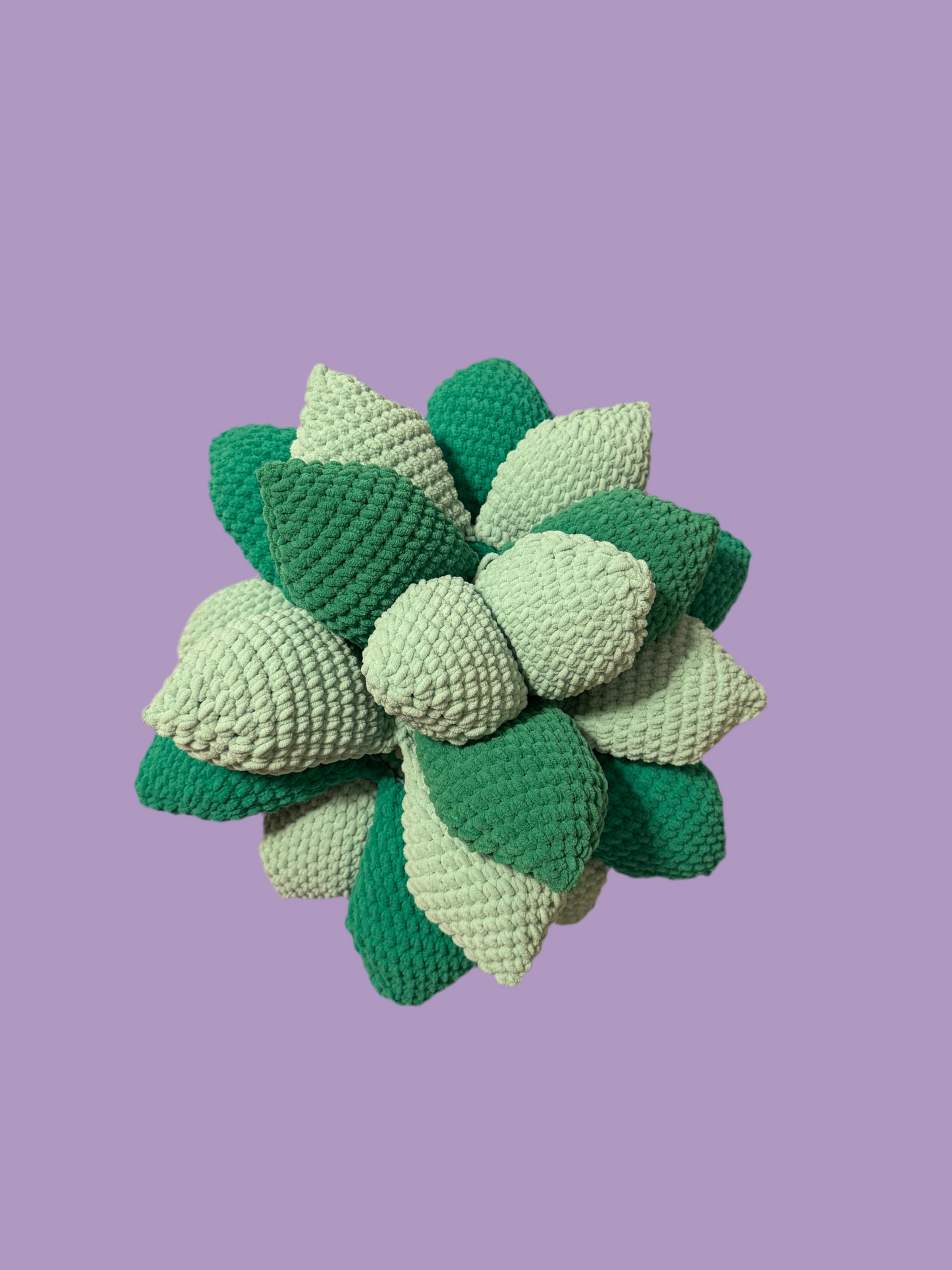 Snuggly Succulent Pillow