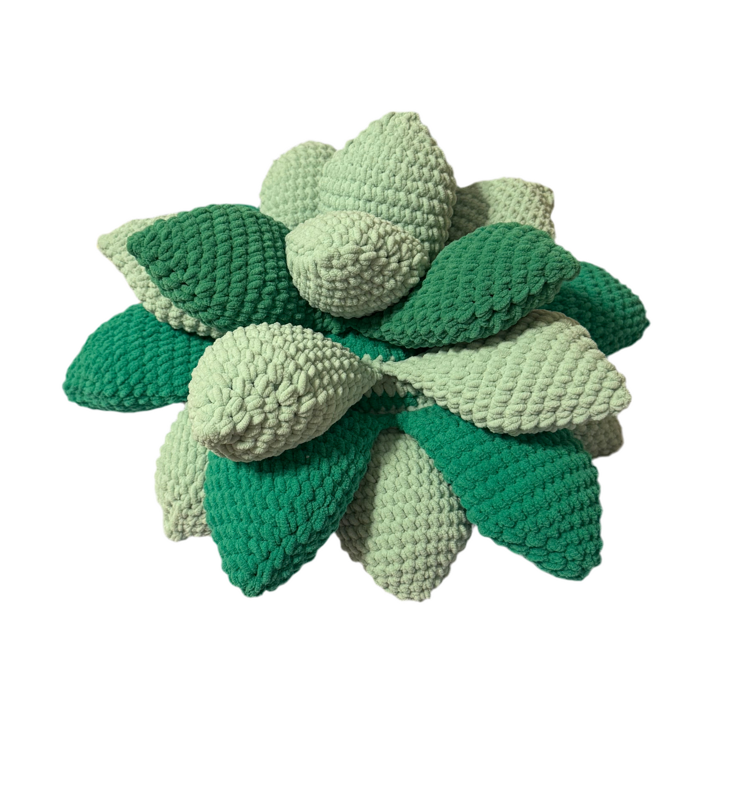 Snuggly Succulent Pillow